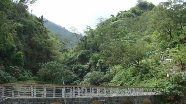 DSC01742.JPG