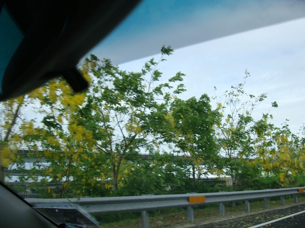 DSC02074.JPG