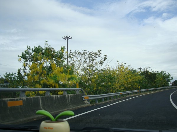 DSC02075.JPG