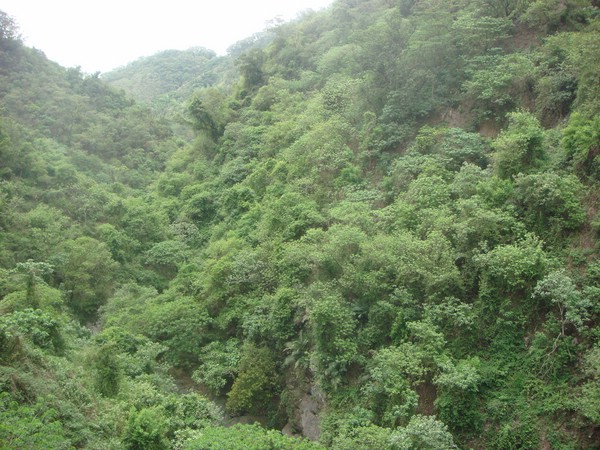 DSC09096.JPG