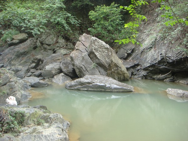 DSC09099.JPG