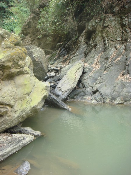 DSC09105.JPG