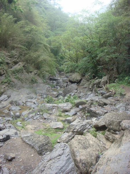 DSC09114.JPG