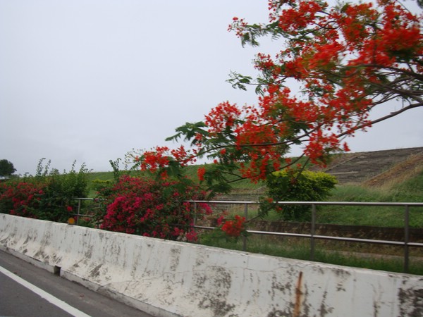 DSC9144-3.JPG