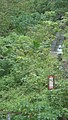 DSC01749.JPG