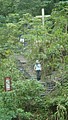 DSC01750.JPG