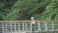 DSC01752.JPG