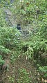 DSC01753.JPG