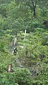 DSC01756.JPG