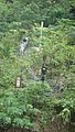 DSC01757.JPG