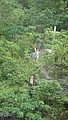 DSC01758.JPG