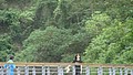 DSC01759.JPG
