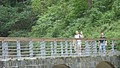 DSC01762.JPG