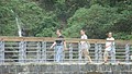 DSC01764.JPG