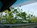 DSC02074.JPG