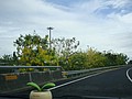 DSC02075.JPG