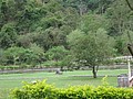 DSC02108.JPG