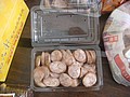 DSC09089.JPG