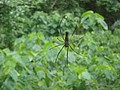 DSC09094.JPG