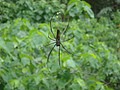 DSC09095.JPG