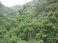 DSC09096.JPG