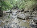 DSC09097.JPG