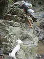 DSC09100.JPG