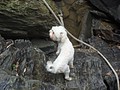 DSC09101.JPG