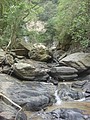 DSC09102.JPG