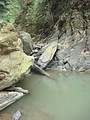 DSC09105.JPG