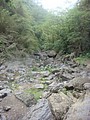 DSC09114.JPG