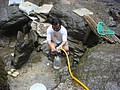 DSC09133.JPG
