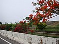 DSC9144-3.JPG