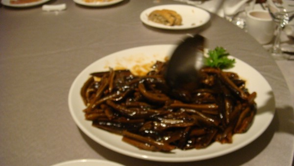 DSC09441.JPG