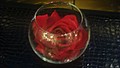 DSC09507.JPG