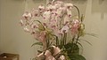 DSC09532.JPG