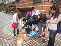 DSC00055.JPG