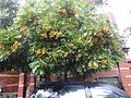 DSC00058.JPG