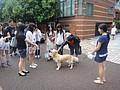 DSC00059.JPG