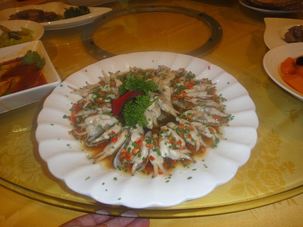 DSC00240.JPG