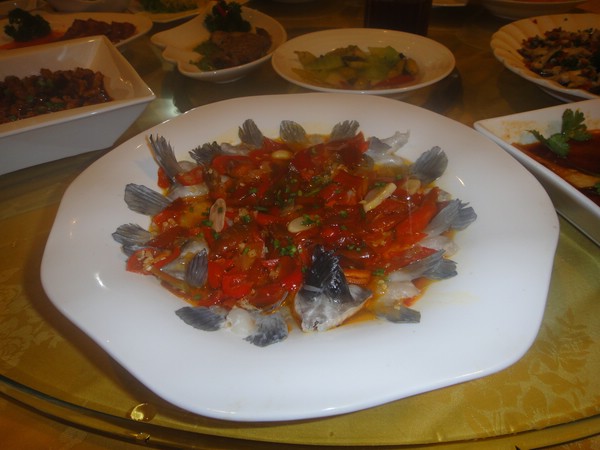 DSC00242.JPG