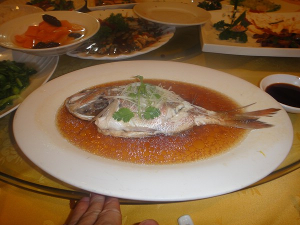 DSC00247.JPG