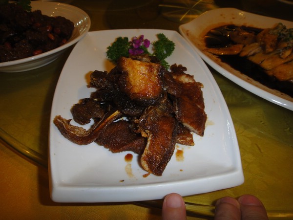 DSC00293.JPG
