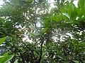 DSC00252.JPG