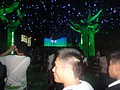 DSC00412.JPG