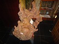 DSC00439.JPG