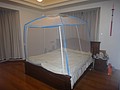 DSC00485.JPG