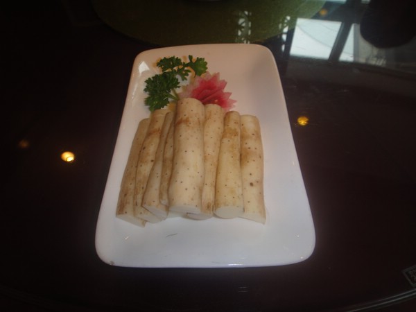 DSC00506.JPG