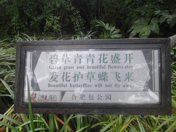 DSC00738.JPG
