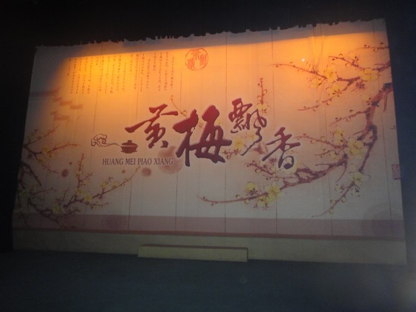 DSC00781.JPG